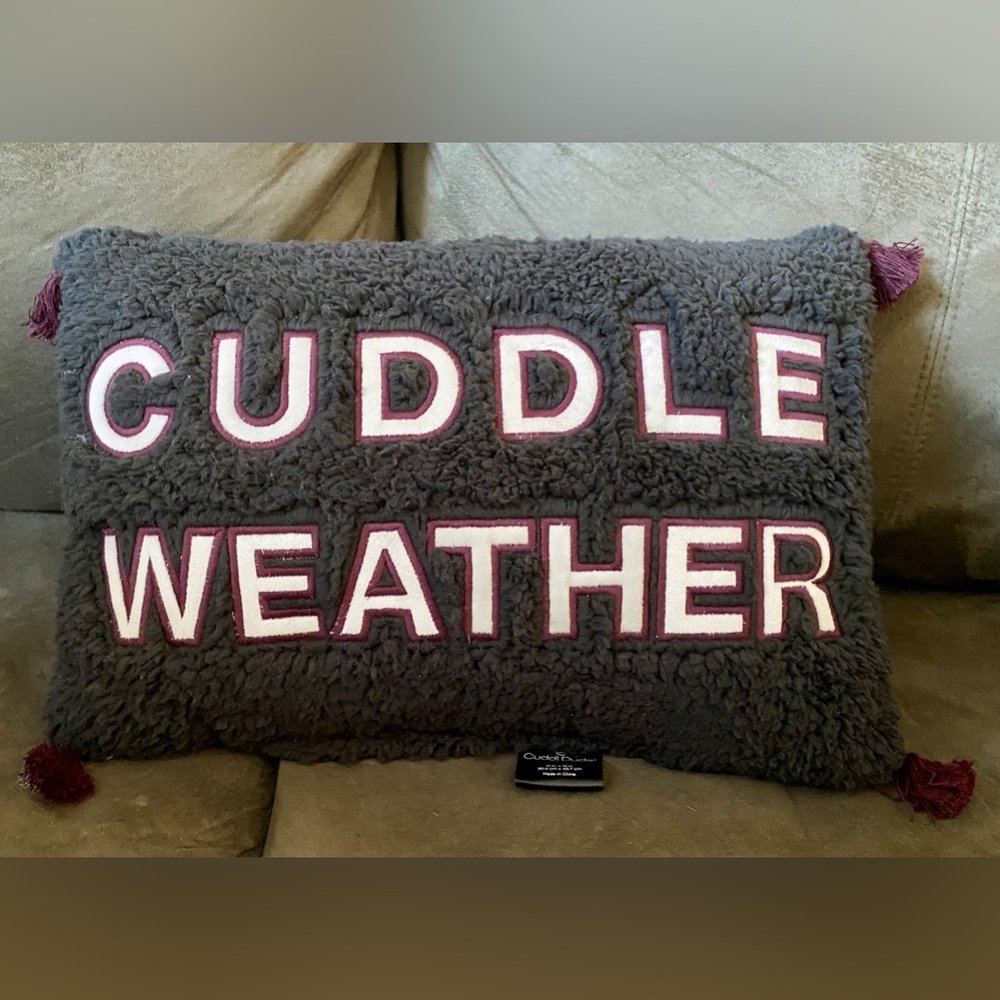 Cuddl Duds Cuddle Weather Sherpa Throw Pillow